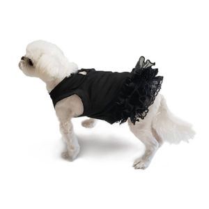 Dog Dress~  Black Mini Ribbon Lace Dress